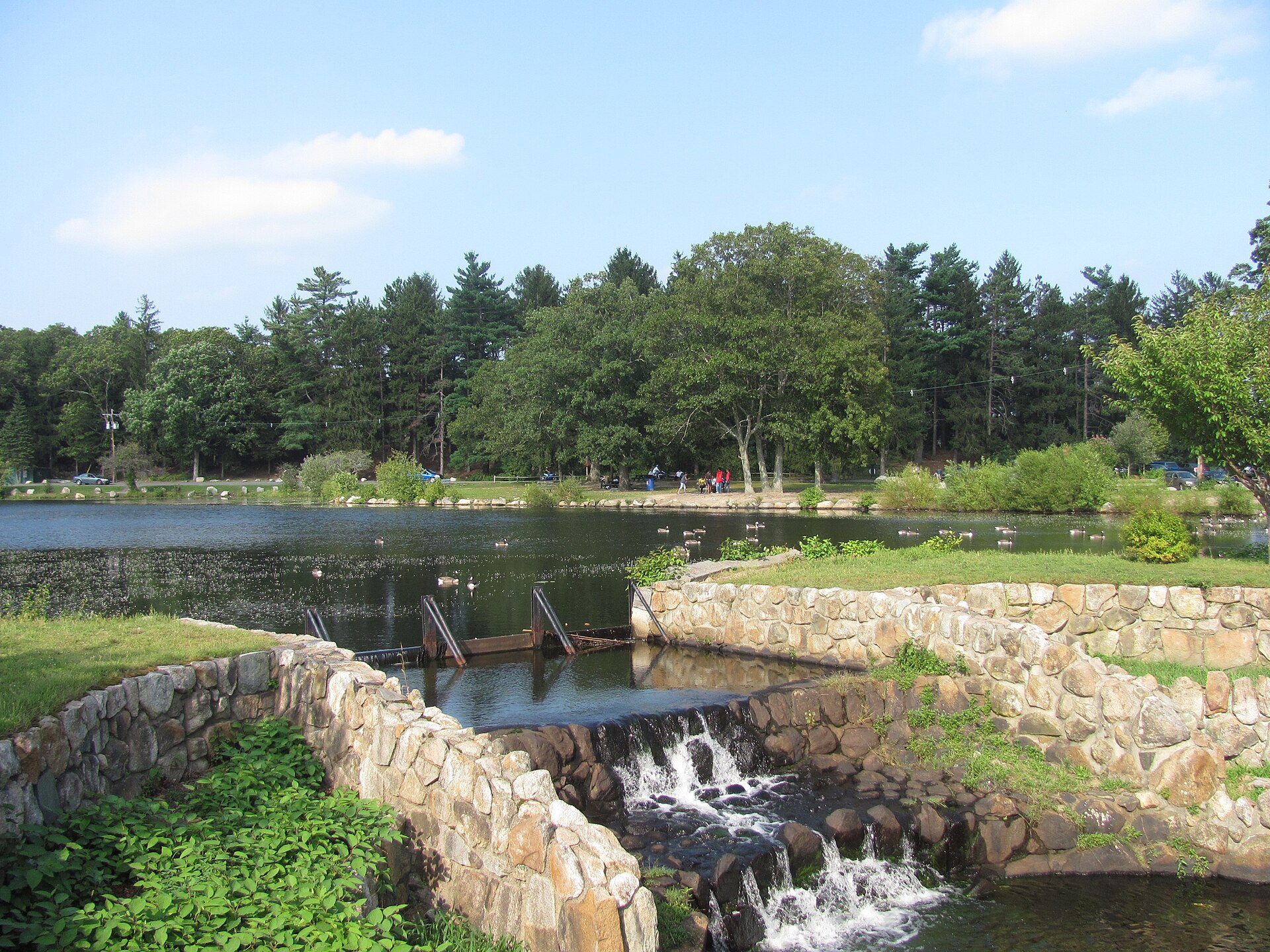 The waterfall and pond at D.W. Field Park